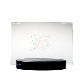 Bokeh Effect Filter | 2