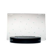 Bokeh Effect Filter | 3